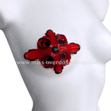 Luscious Latex Pasties