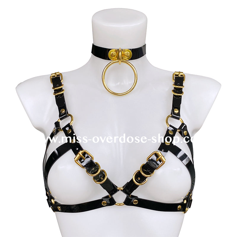 High Gloss Harness BH - GOLD
