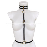 High Gloss Taillenharness - GOLD