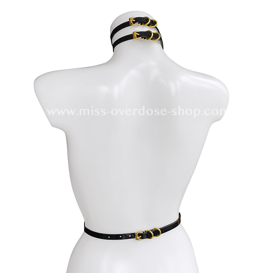 High Gloss Taillenharness - GOLD