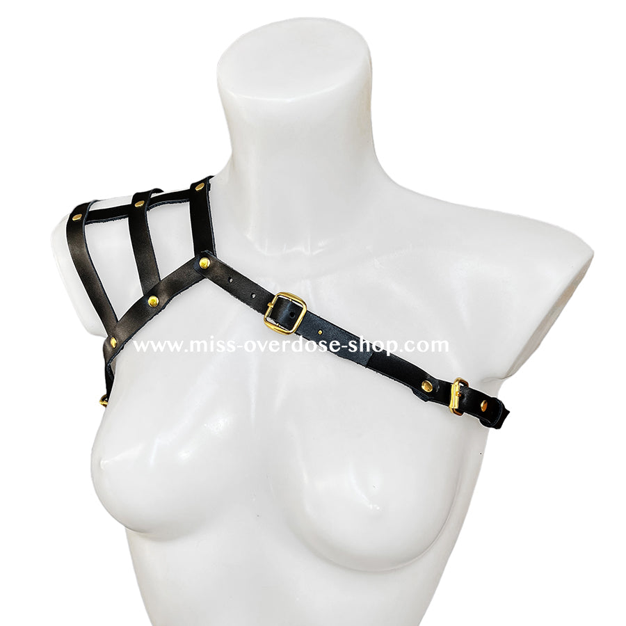 Eclipse shoulder harness - GOLD