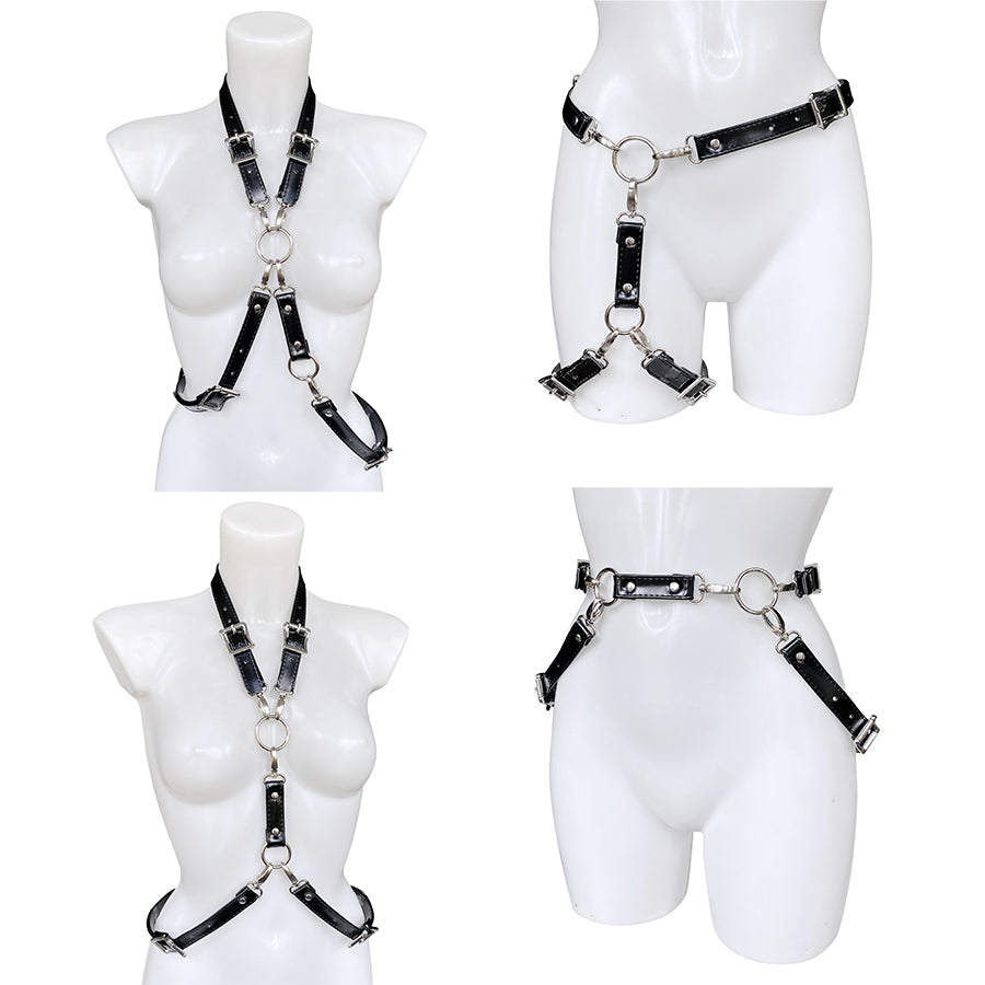 5 in 1 - Equinox harness