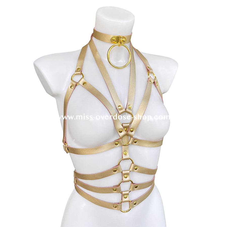 Goldie waist harness