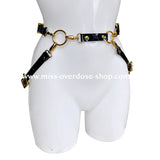 5 in 1 - High Gloss harness - GOLD