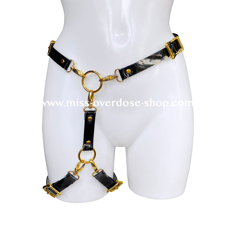 5 in 1 - High Gloss harness - GOLD