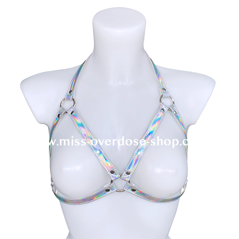 Holographic Harness BH