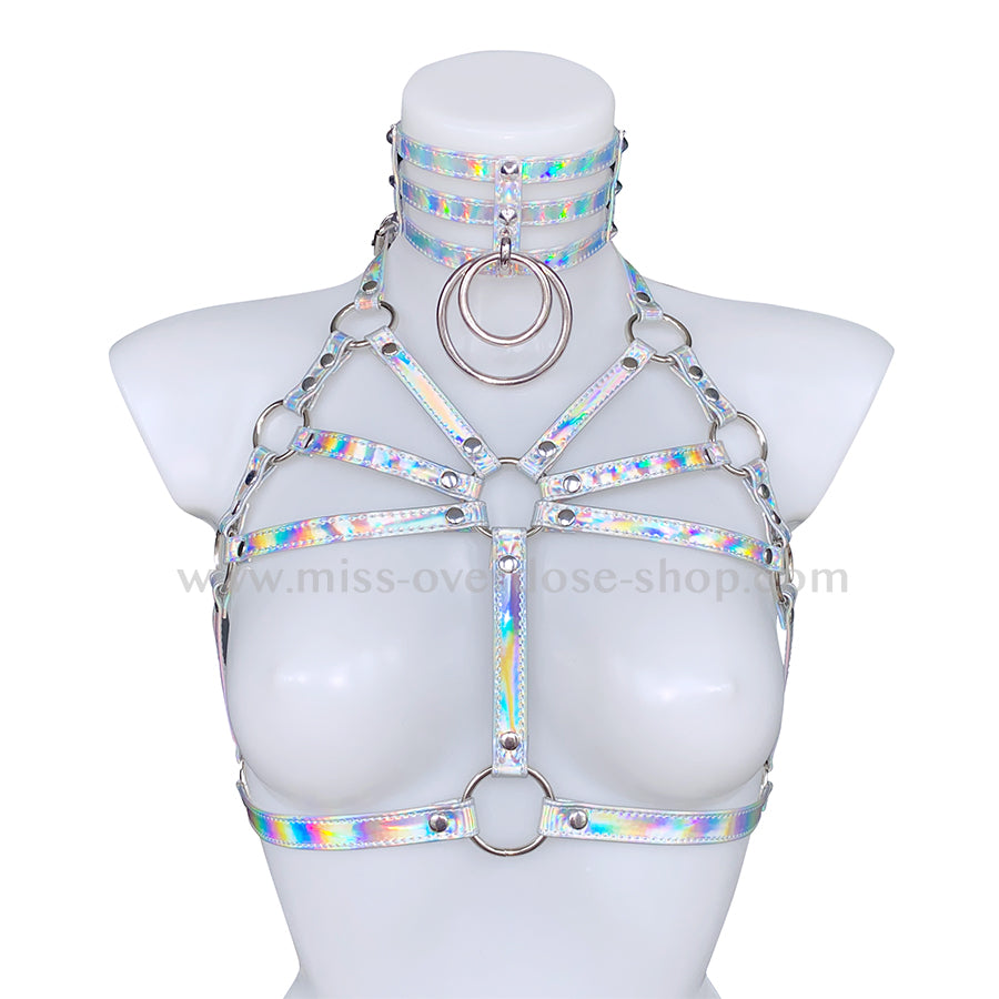 Holographic harness