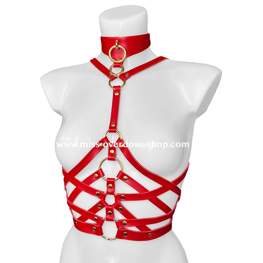 Aphrodite harness top