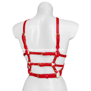 Aphrodite harness top